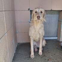 Thumbnail photo of Karsyn #2