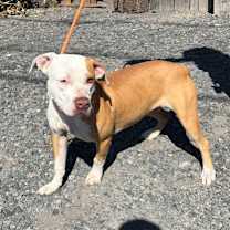 Thumbnail photo of Juliette #1