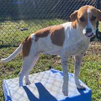 Thumbnail photo of Maybeline(HW+Treatment Sponsor #2