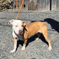 Thumbnail photo of Juliette #3