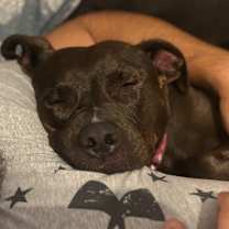 Thumbnail photo of Nassau #4