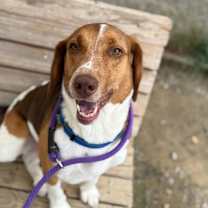 Thumbnail photo of Zuko #4