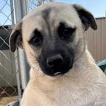 Thumbnail photo of Pete in TX #2