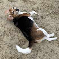 Thumbnail photo of Sasha #3