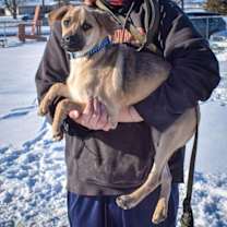 Thumbnail photo of Puck #4