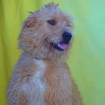 Thumbnail photo of Maya JuM #3