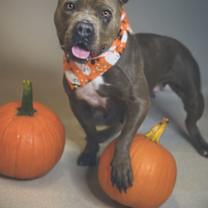 Thumbnail photo of Baby #1