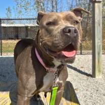 Thumbnail photo of Baby #2