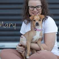 adopt-pet