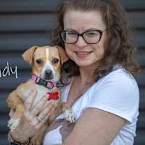 adopt-pet
