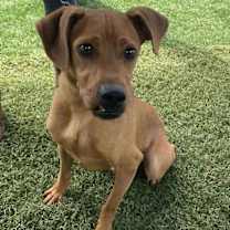 Thumbnail photo of Willis #2