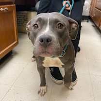 Thumbnail photo of Shera #2