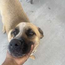 Thumbnail photo of Zuko #2