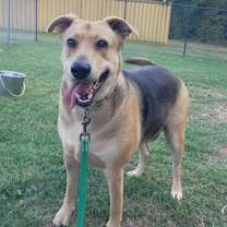 Thumbnail photo of Lucy #1