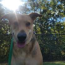 Thumbnail photo of Lucy #2