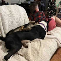 Thumbnail photo of Novella #4