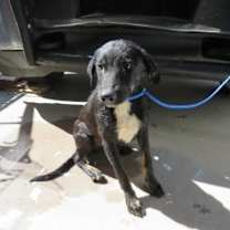 Thumbnail photo of 90980 #1