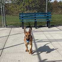 Thumbnail photo of Sammy #3