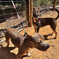 Thumbnail photo of Eddie #3