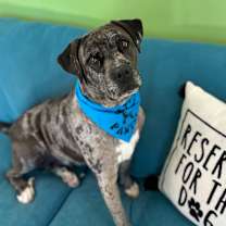 Thumbnail photo of Louisa #1