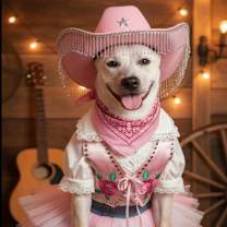 adopt-pet