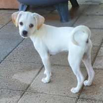 Thumbnail photo of Ghost #2