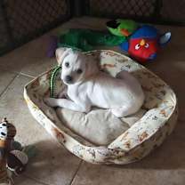 Thumbnail photo of Ghost #4