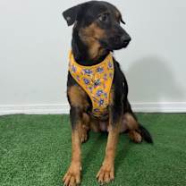 Thumbnail photo of Mely #3