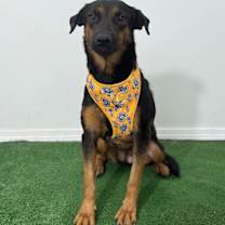 Thumbnail photo of Mely #4