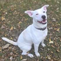 Thumbnail photo of GiGi #4