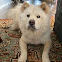 Thumbnail photo of Margot #2