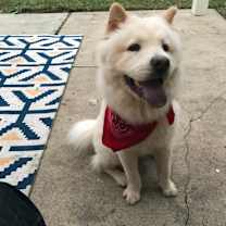 Thumbnail photo of Margot #3