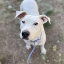 Thumbnail photo of Gary #4