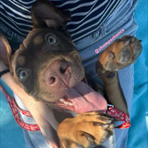 Thumbnail photo of Tabitha  #1