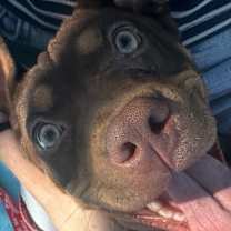 Thumbnail photo of Tabitha  #2