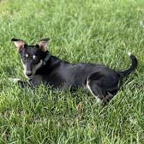 Thumbnail photo of Mina #3