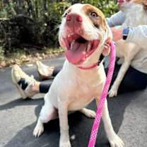 Thumbnail photo of Raven #3