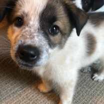 Thumbnail photo of Babe #1