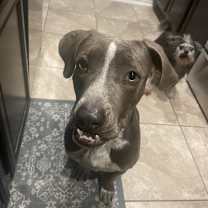 Thumbnail photo of Benny Blueberry #3