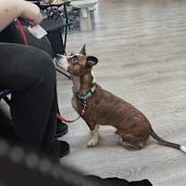 Thumbnail photo of Diggy #4