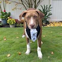 Thumbnail photo of Poker #2