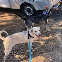 Thumbnail photo of Chance #2