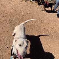 Thumbnail photo of Chance #3