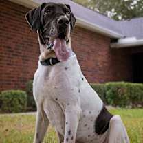 Thumbnail photo of Laverne #2