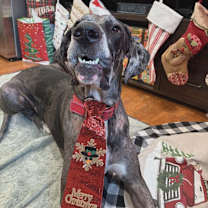 Thumbnail photo of Peeta #3