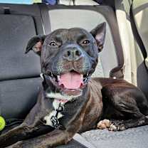 Thumbnail photo of Quinn #4