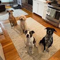 Thumbnail photo of Dallas #4