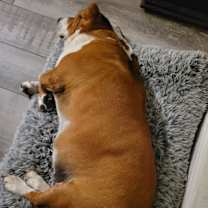 Thumbnail photo of Loretta #2