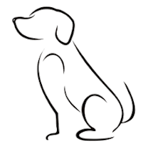 Thumbnail photo of CHANCE #1