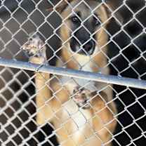 Thumbnail photo of Priscilla #2